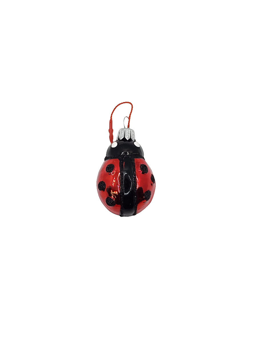 European Glass Christmas ornament of a Ladybird/Ladybug (F)