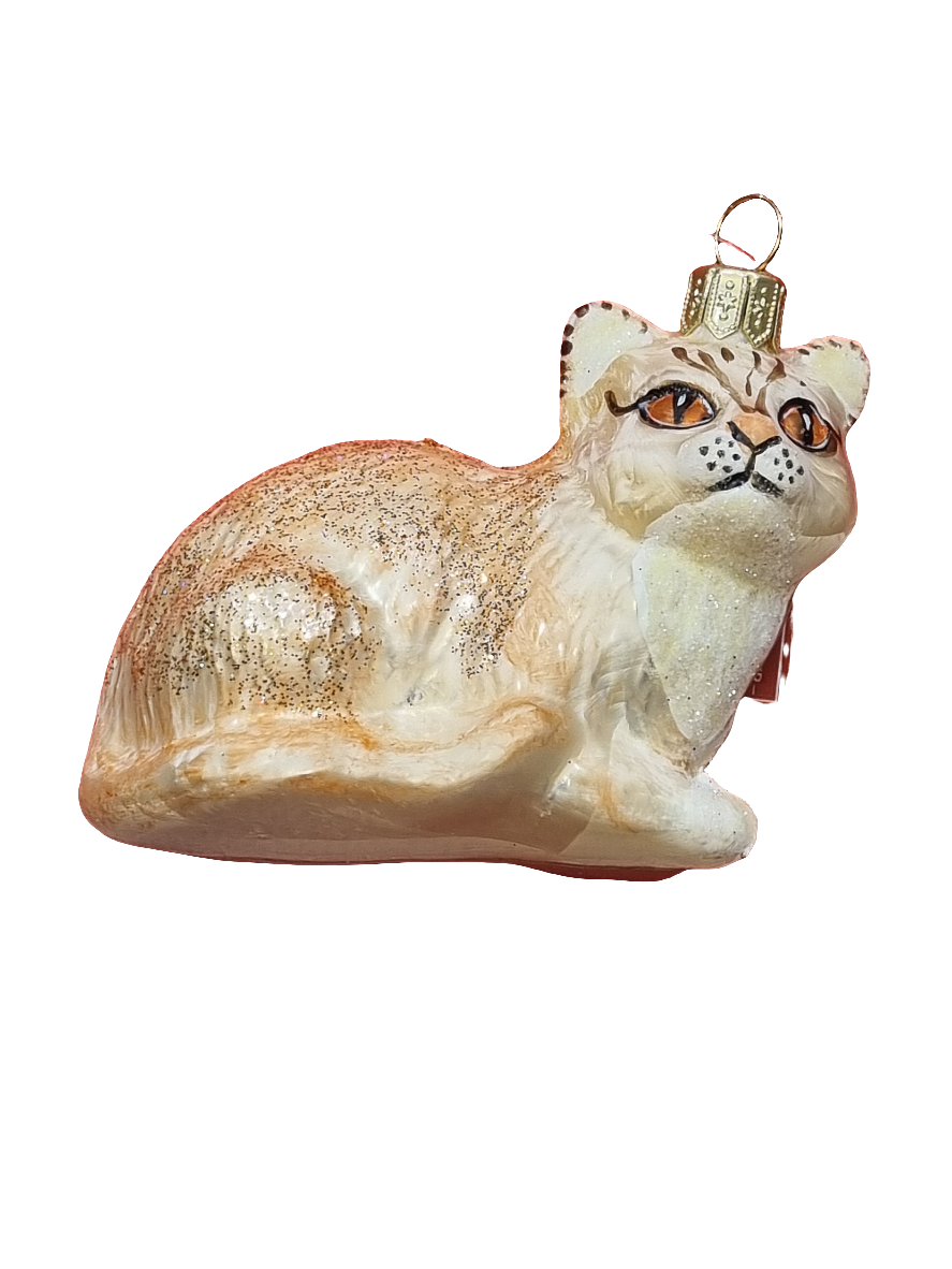 European Glass Christmas ornament of a Cat | Ginger (S)