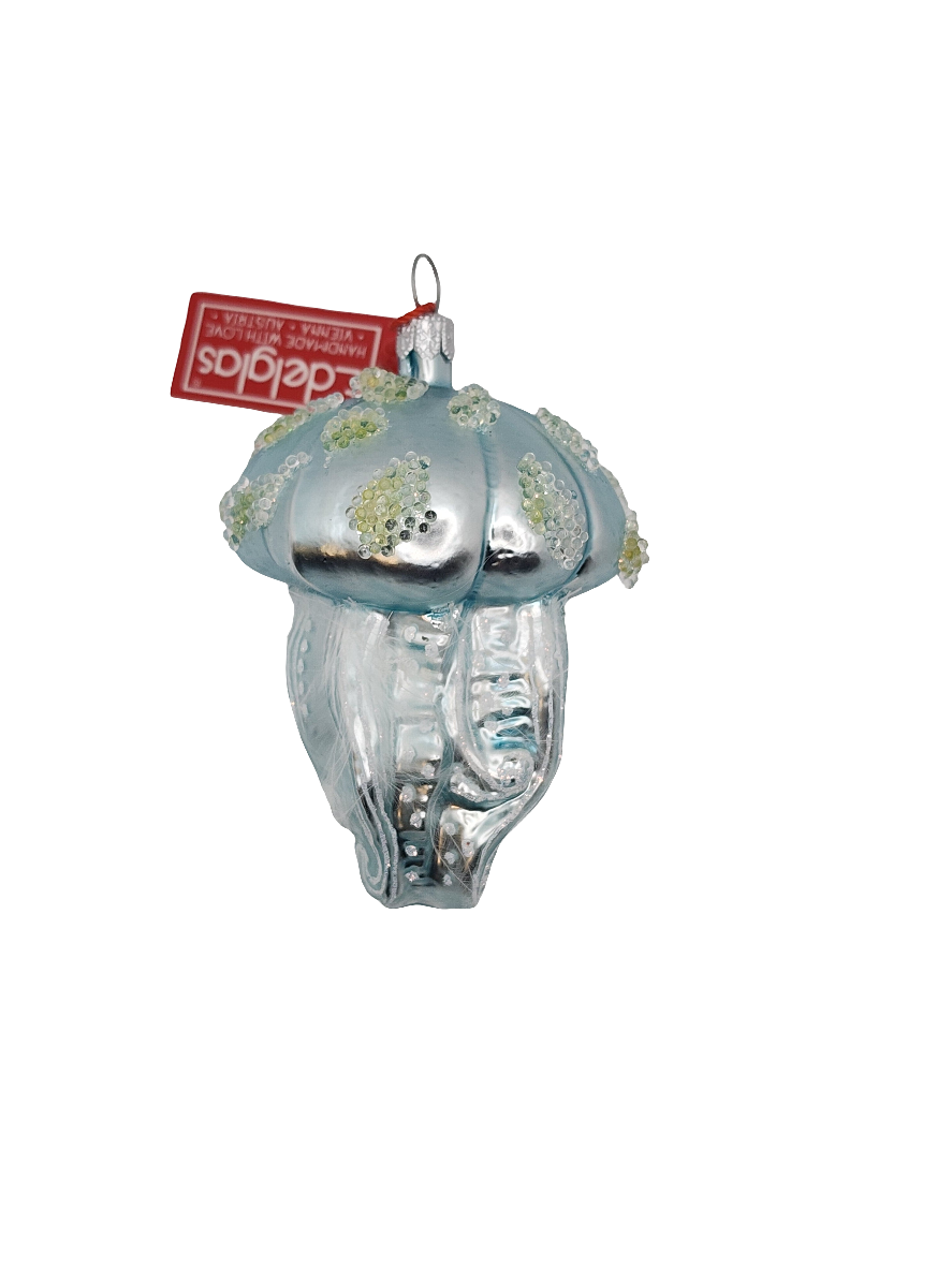 Jellyfish | Solid Legs (P)