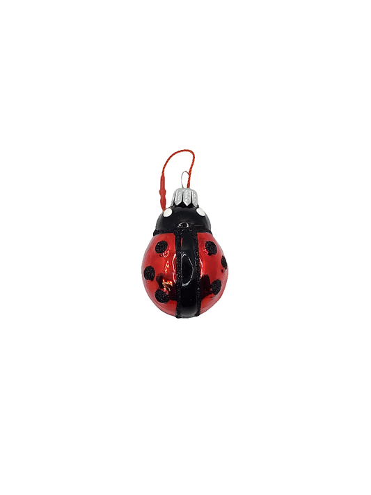 European Glass Christmas ornament of a Ladybird/Ladybug (F)