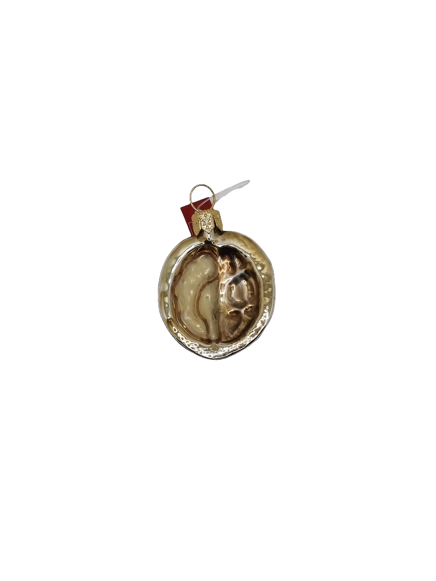 European Glass Christmas ornament of a Nut Half (F)