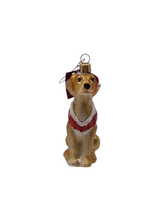 European Glass Christmas ornament of a Dog Golden Labrador Christmas Jacket (R)