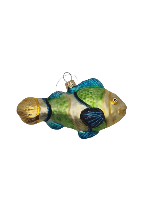 Fish | Colourful Sparkle (P)