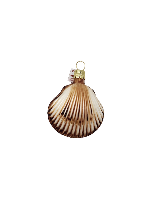 Shell Clam (C)