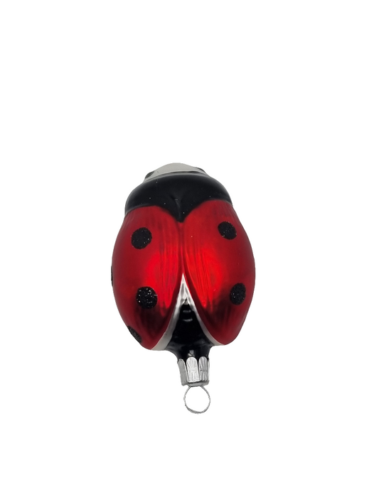European Glass Christmas ornament of a Ladybird/Ladybug | Large (E)
