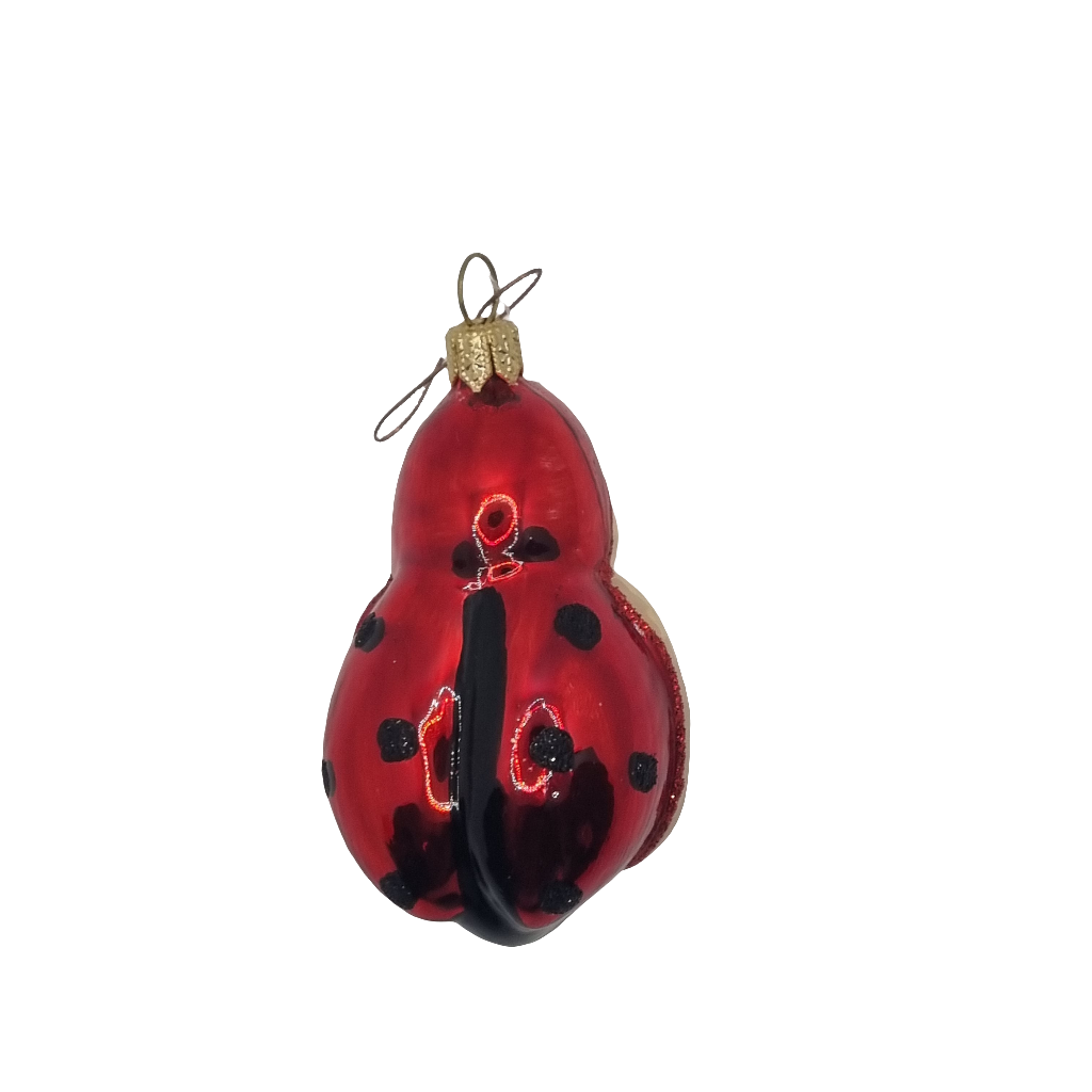 Ladybird/Ladybug with Face (G)