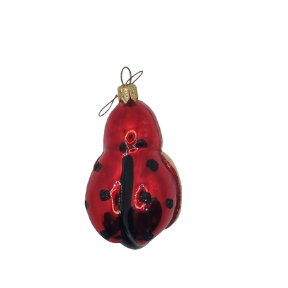 Ladybird/Ladybug with Face (G)