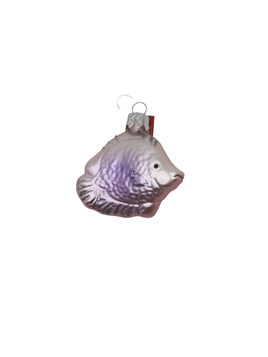 Fish | Small Round Colourful (C)