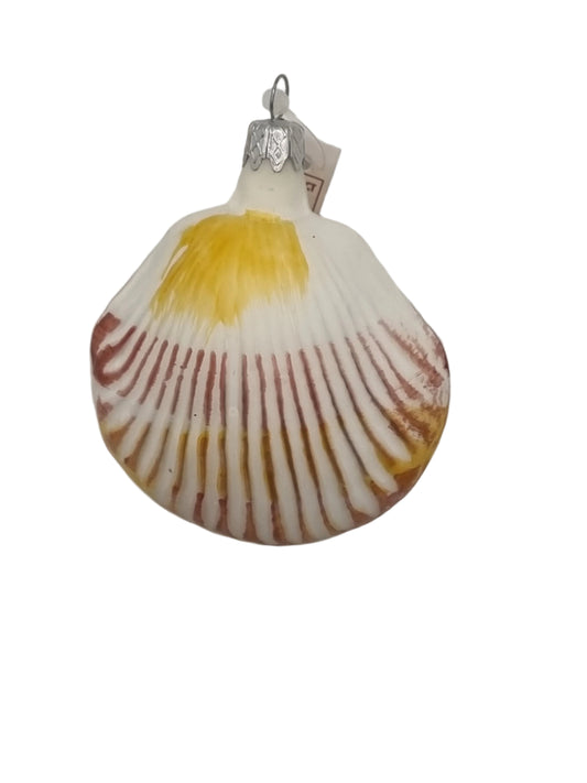 Shell realistic yellow brown (C)