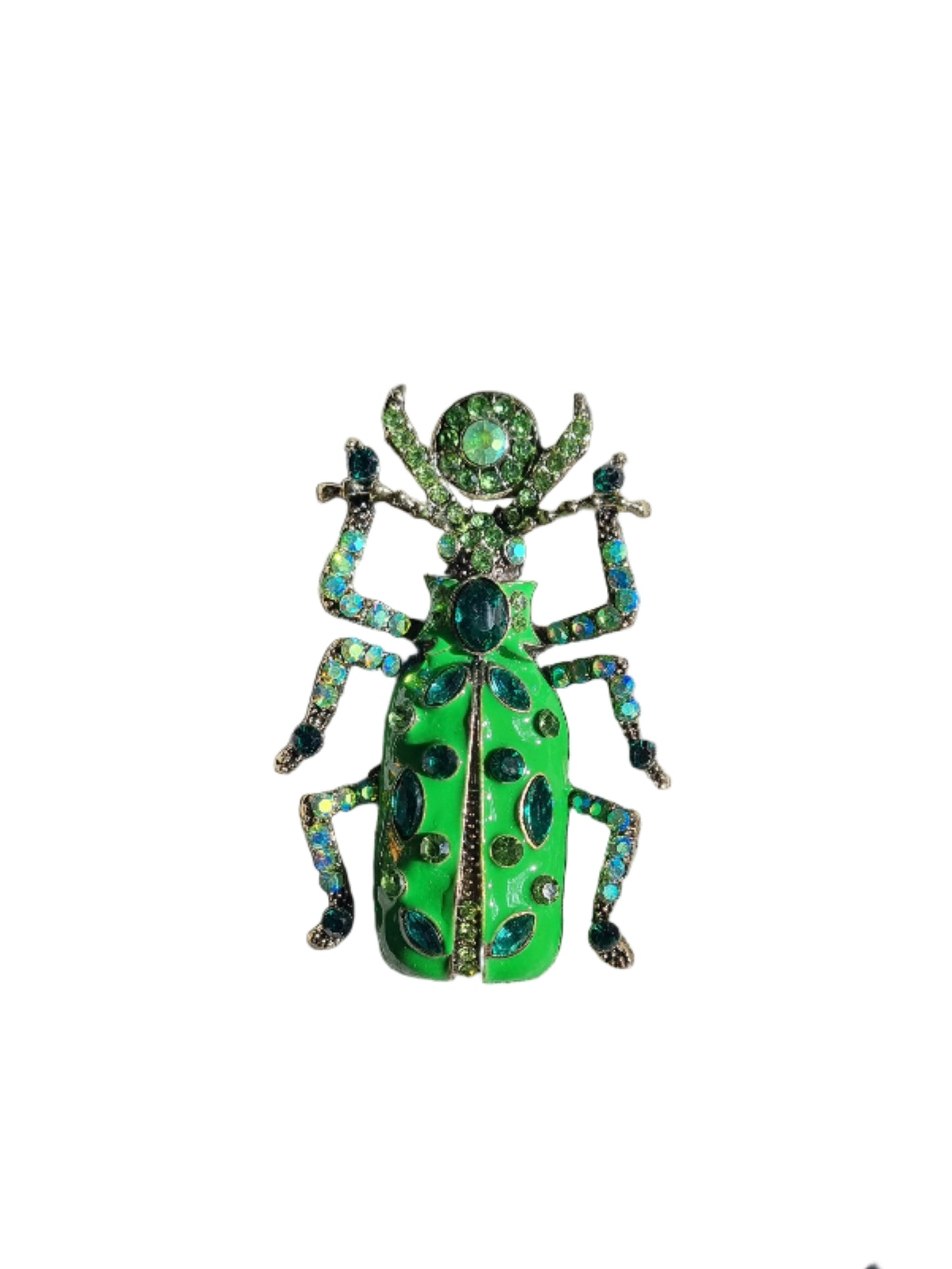 Green jeweled beetle 