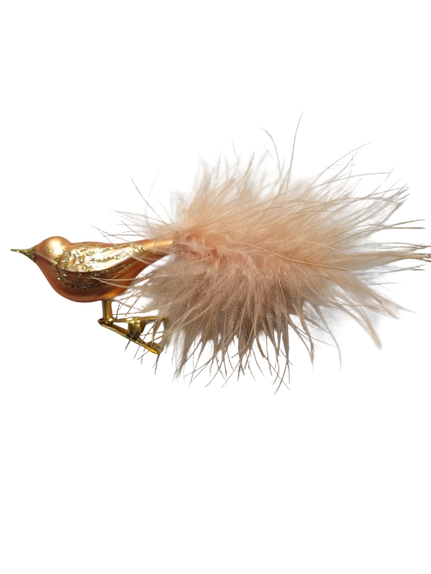 Bird with feathers 
